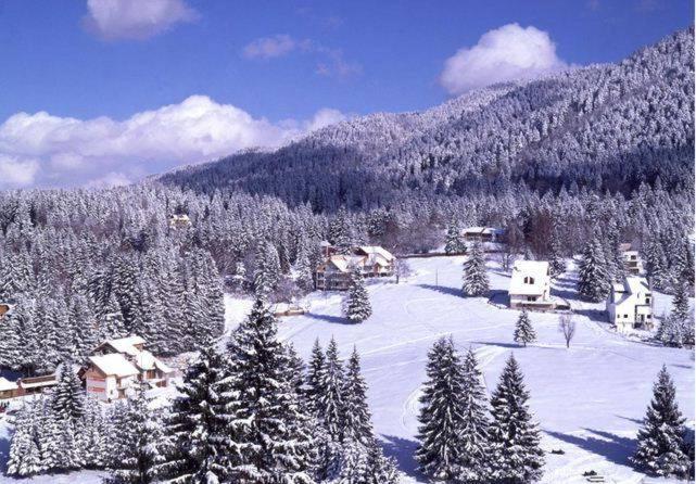 Poiana Brasov, Aparthotel 609,Alpin Eksteriør billede
